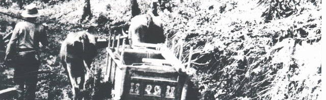 Coto Brus – Fotos antiguas