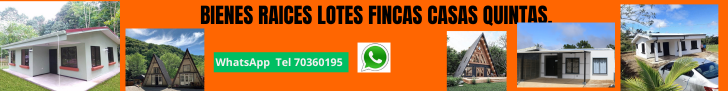 cotobrus.net